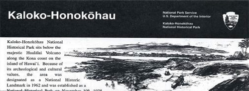 brochure cover