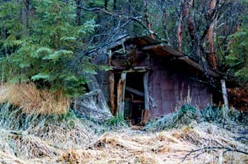 Scott's cabin