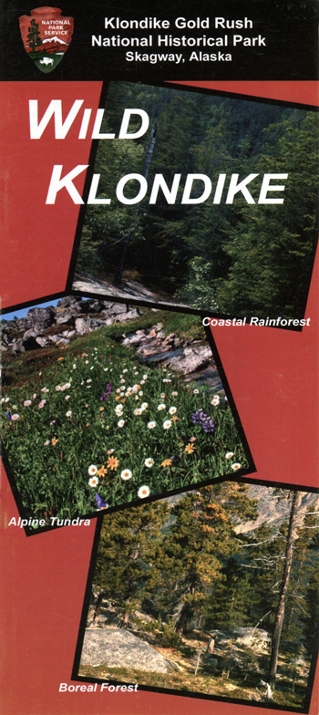 brochure cover