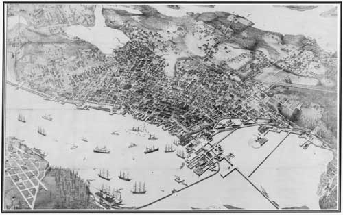 Bird's-eye view of Seattle, 1891