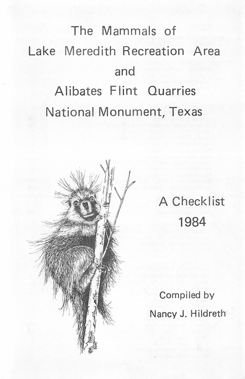 brochure cover