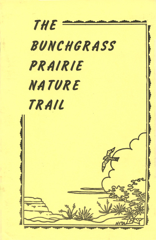 brochure cover