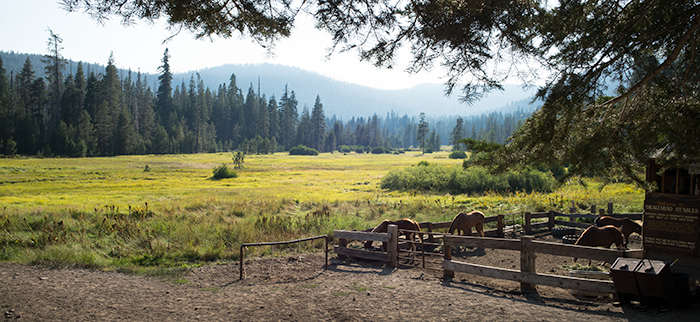 Horse Corrals