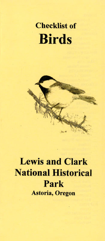 brochure cover