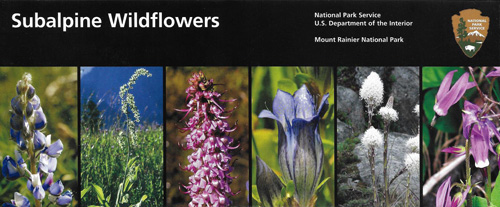 brochure cover