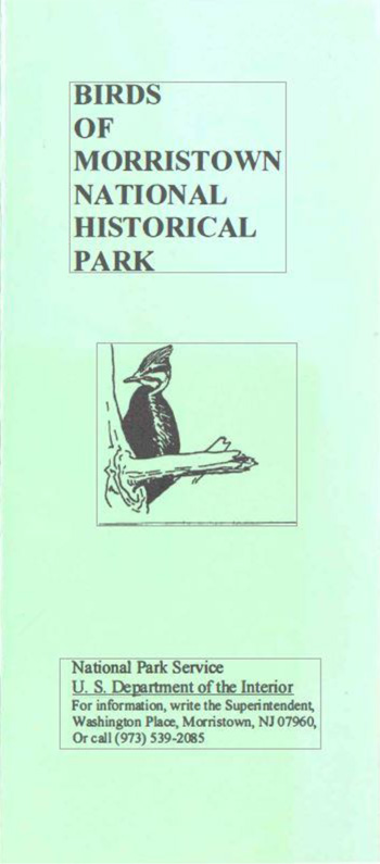 brochure cover