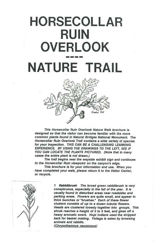 brochure cover