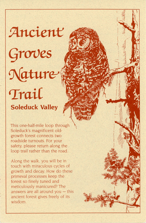 brochure cover