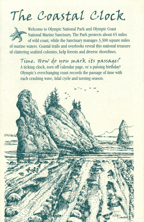 brochure cover