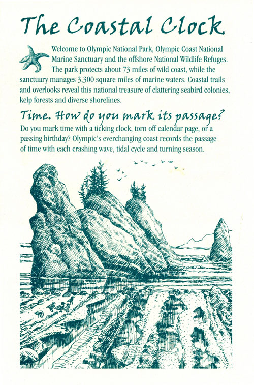 brochure cover