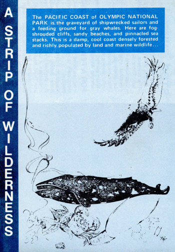 brochure cover