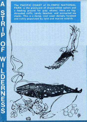 brochure cover