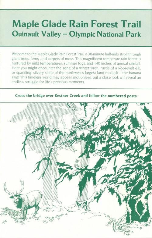 brochure cover