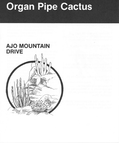 brochure cover