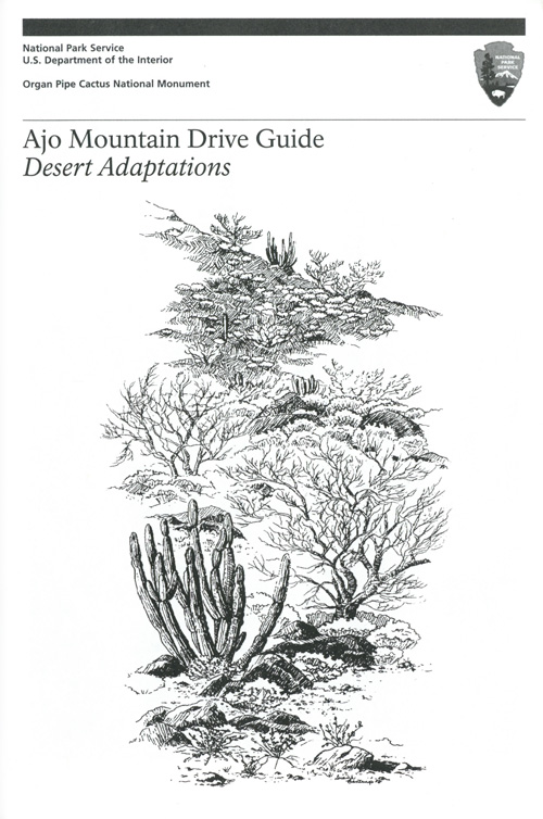 brochure cover