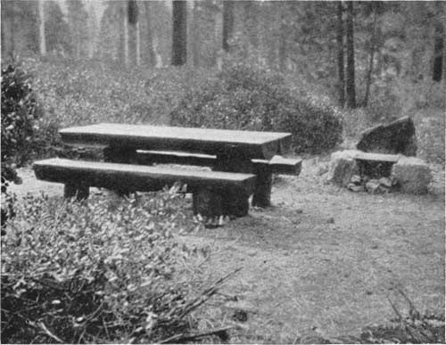 An Illustrated History of the Picnic Table