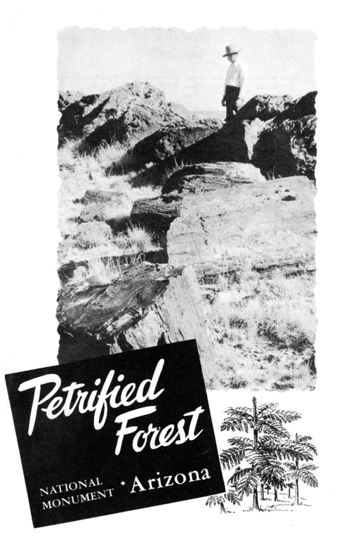 brochure cover