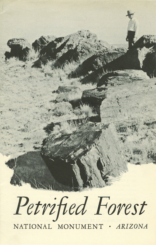 brochure cover