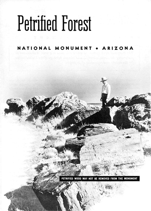 brochure cover