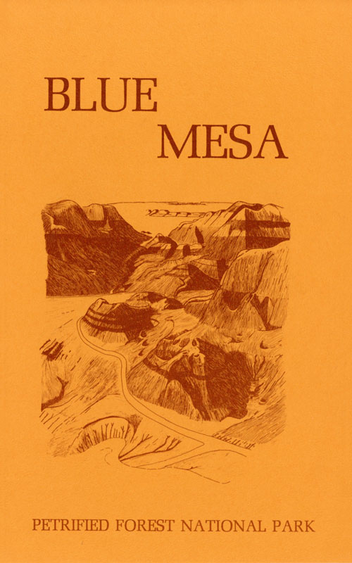 brochure cover