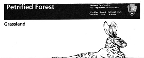 brochure cover