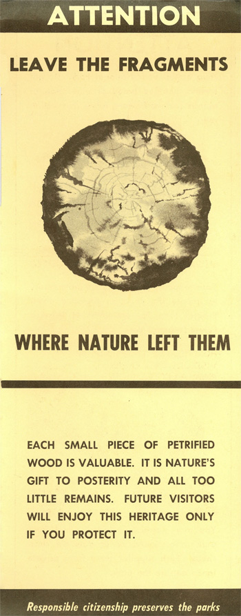 brochure cover