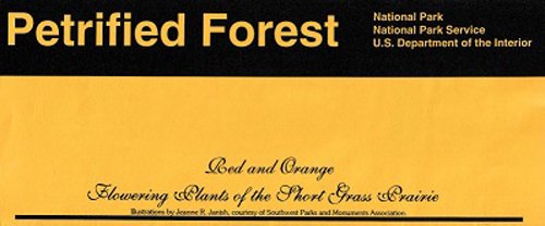 brochure cover