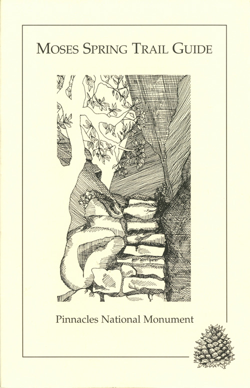 brochure cover