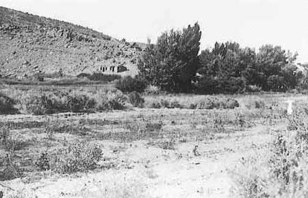 view of meadow and west cabin