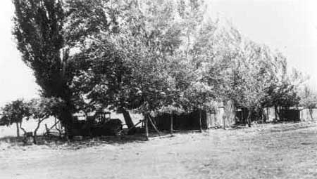 Custodian Leonard Heaton's stables and poultry sheds