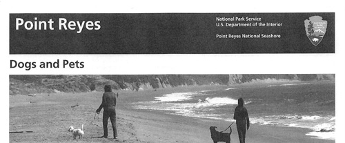 brochure cover