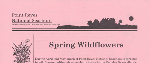 brochure cover