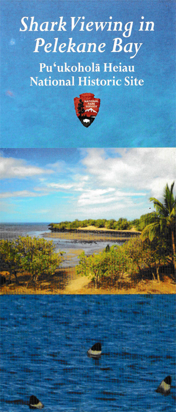 brochure cover