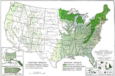 map: forests