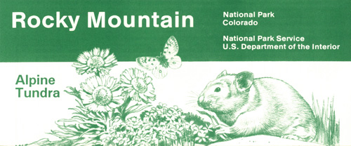 brochure cover