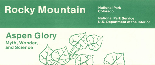 brochure cover