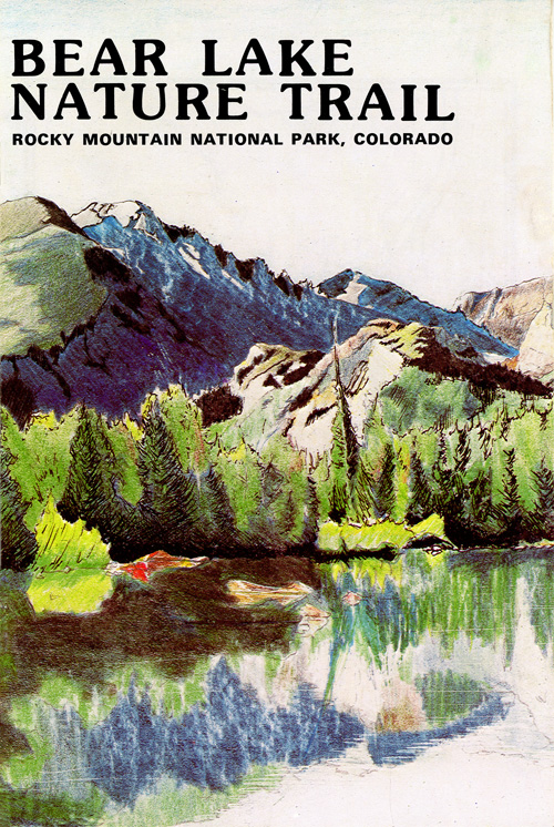 brochure cover