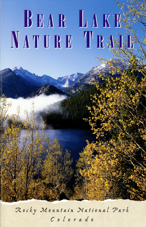 brochure cover