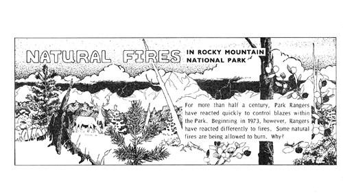 brochure cover