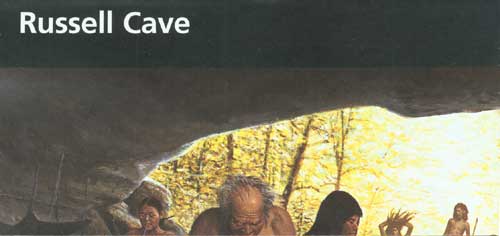 brochure cover