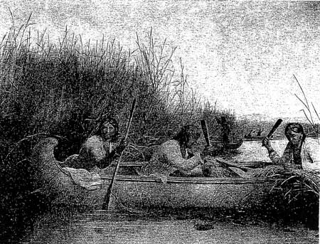 sketch of Chippewan women