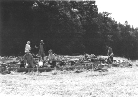 volunteers at work in the garden