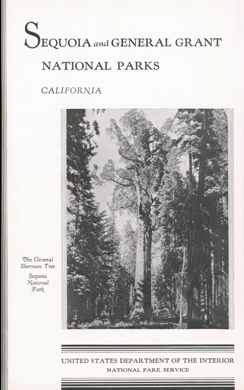 brochure cover