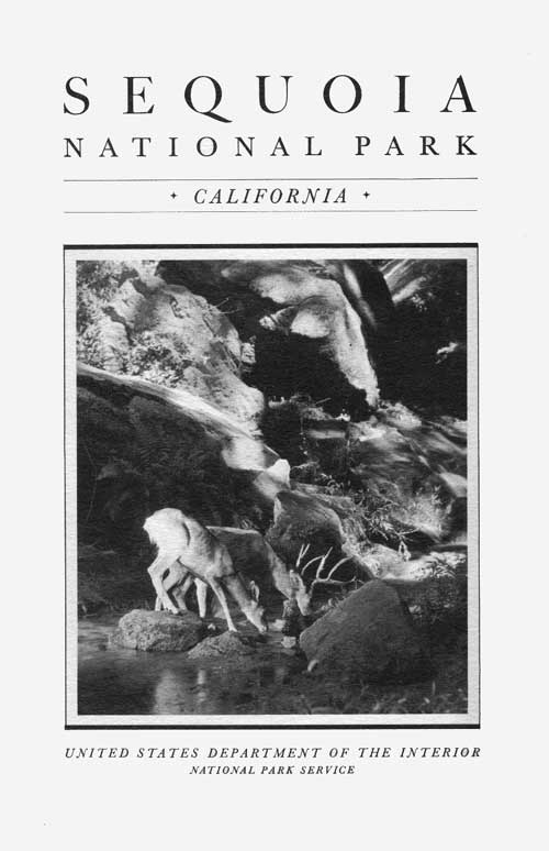 brochure cover