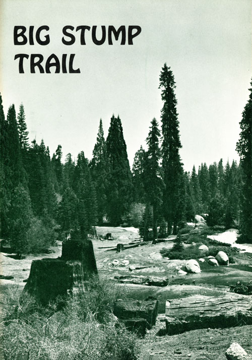 brochure cover