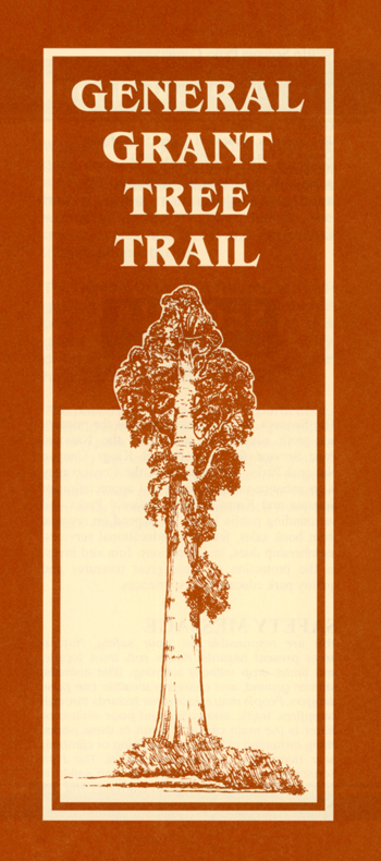 brochure cover