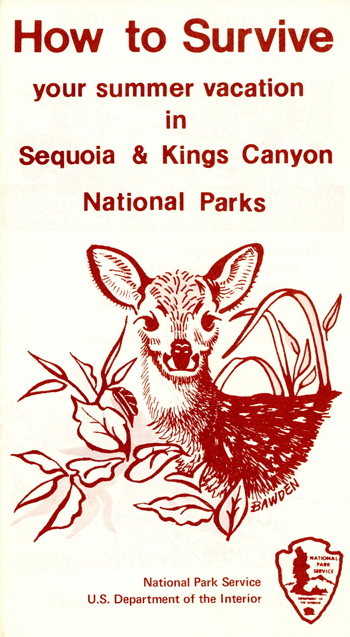 brochure cover