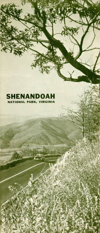 brochure cover