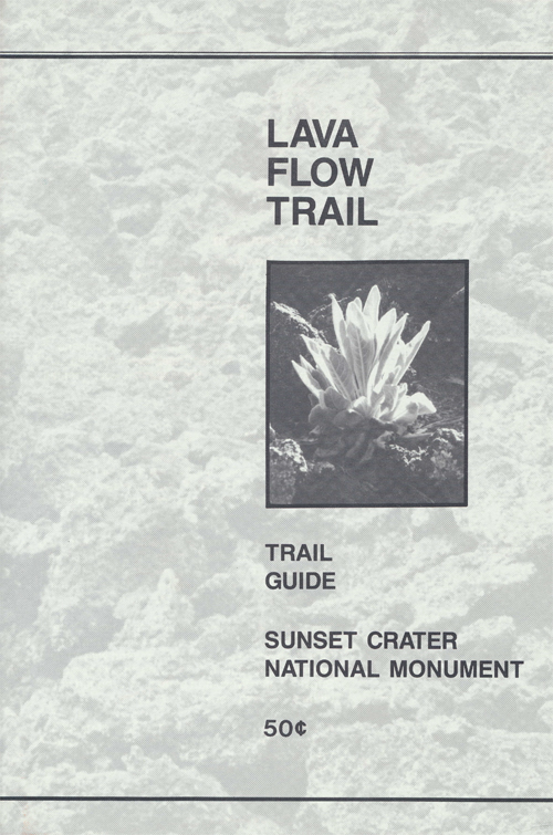 brochure cover