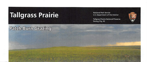 brochure cover